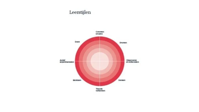 leerstijlen